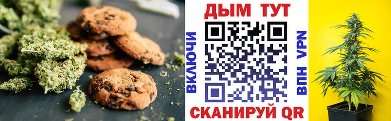 МЕГА ТОР  Тосно  Cannafood конопля 