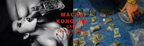 Альфа ПВП Бородино