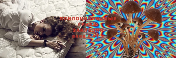 марки lsd Богданович