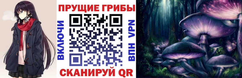 Галлюциногенные грибы MAGIC MUSHROOMS  OMG рабочий сайт  Тосно 